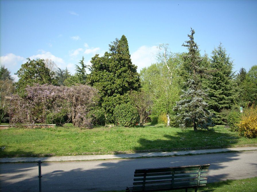 Mombello Psychiatric Hospital, Limbiate, Milan - 16.jpg